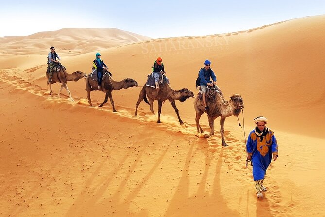 Camel ride tour in Agadir dunes